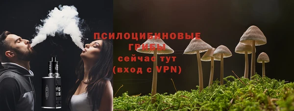 МДПВ Абаза