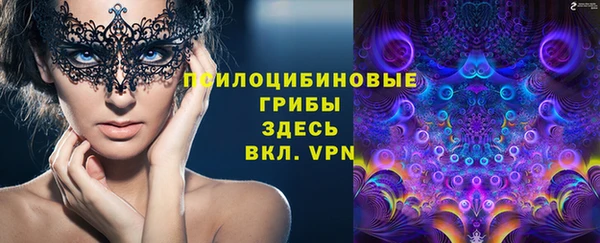 МДПВ Абаза