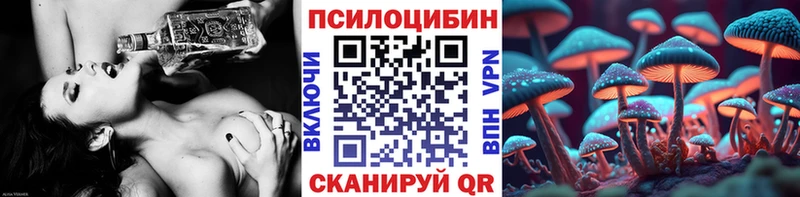 гидра сайт  Серпухов  Галлюциногенные грибы Psilocybe 
